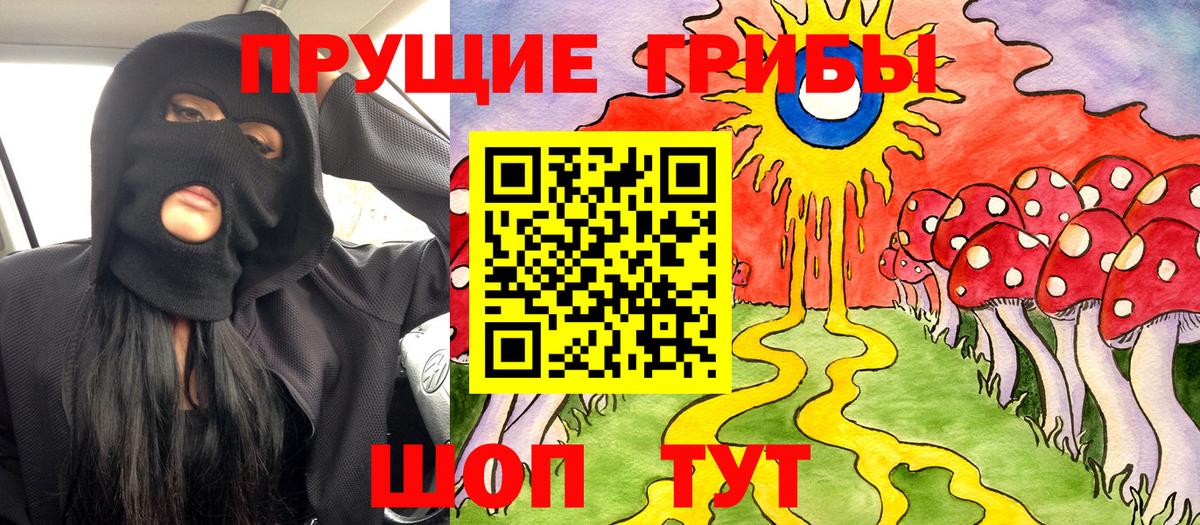 Галлюциногенные грибы мицелий Пугачёв