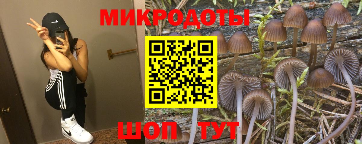 Пугачёв  Галлюциногенные грибы MAGIC MUSHROOMS  Вход с VPN  Псилоцибиновые грибы Psilocybine cubensis 